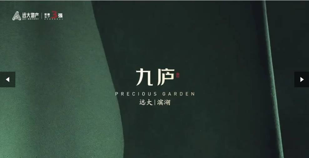 大九庐项目售楼处地址冰球突破技巧滨湖区远(图2)